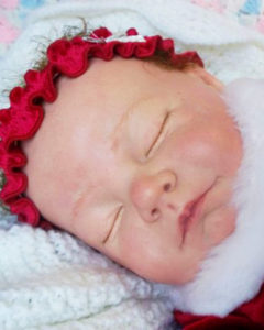 reborn doll artist near me