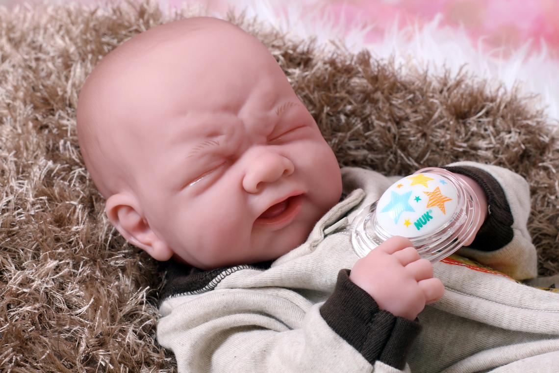 reborn dolls that cry and move